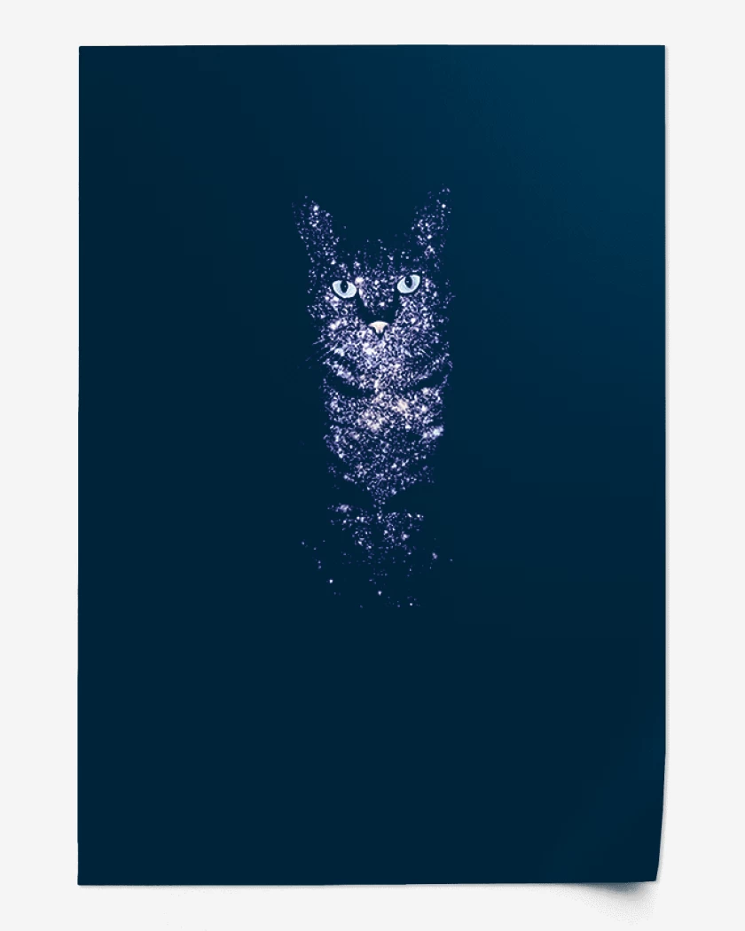 Print Azul Marino de Gatito estelar