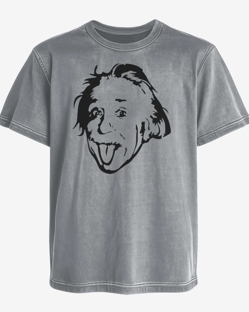 Polera desgastada Gris Melange de Albert Einstein