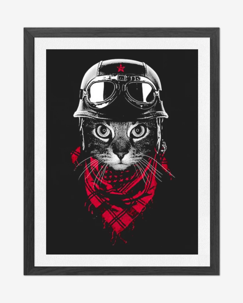 Cuadro decorativo Gato revo