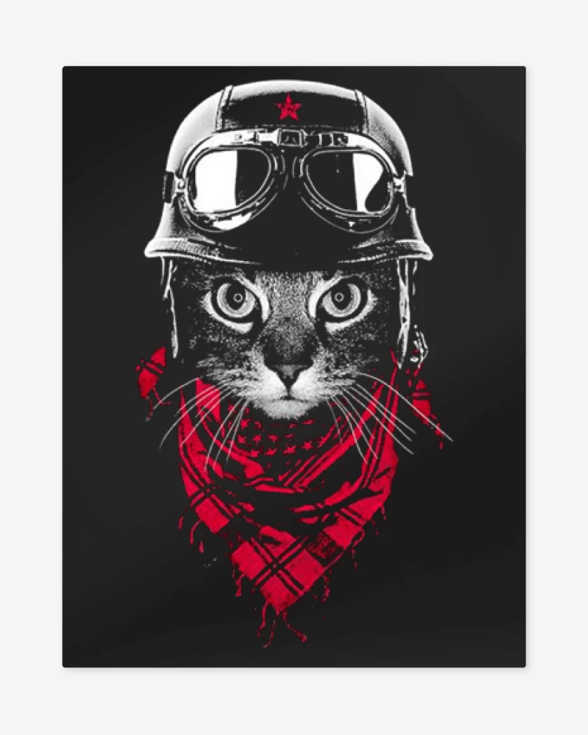 Print metalico Negro de Gato revo