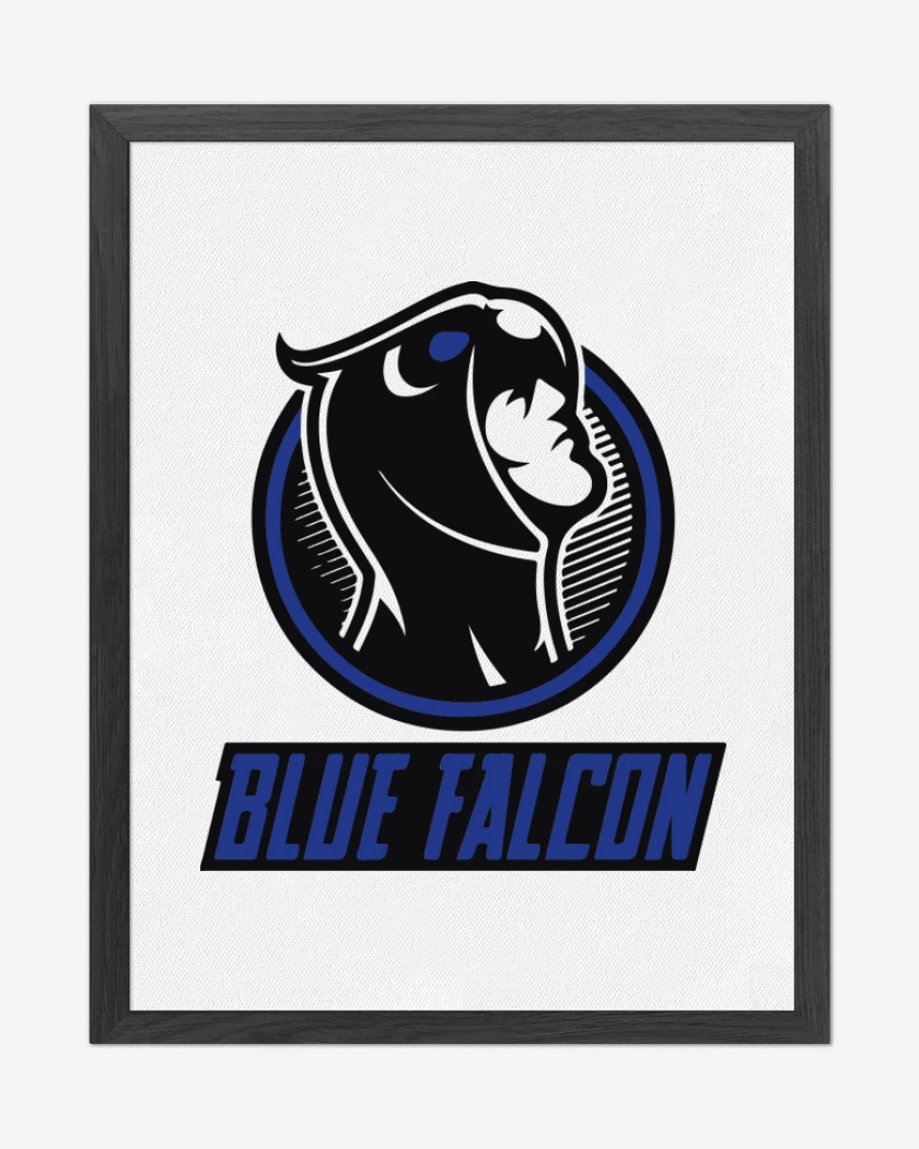 Cuadro decorativo blue falcon