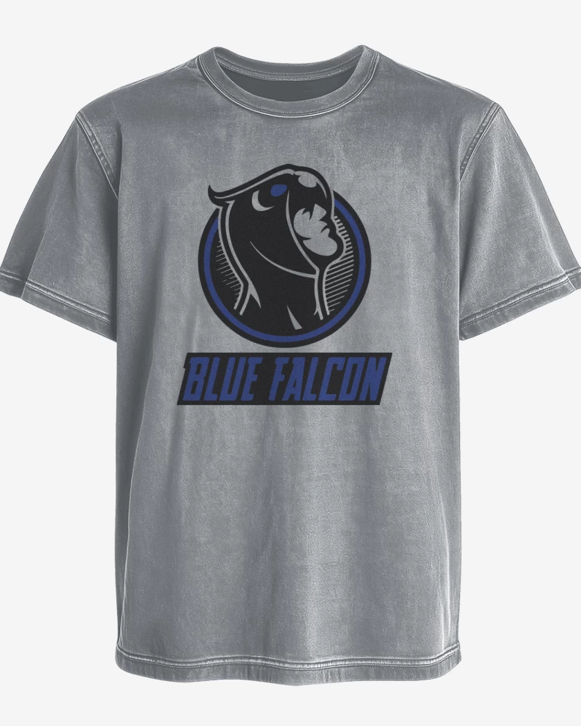 Polera desgastada blue falcon