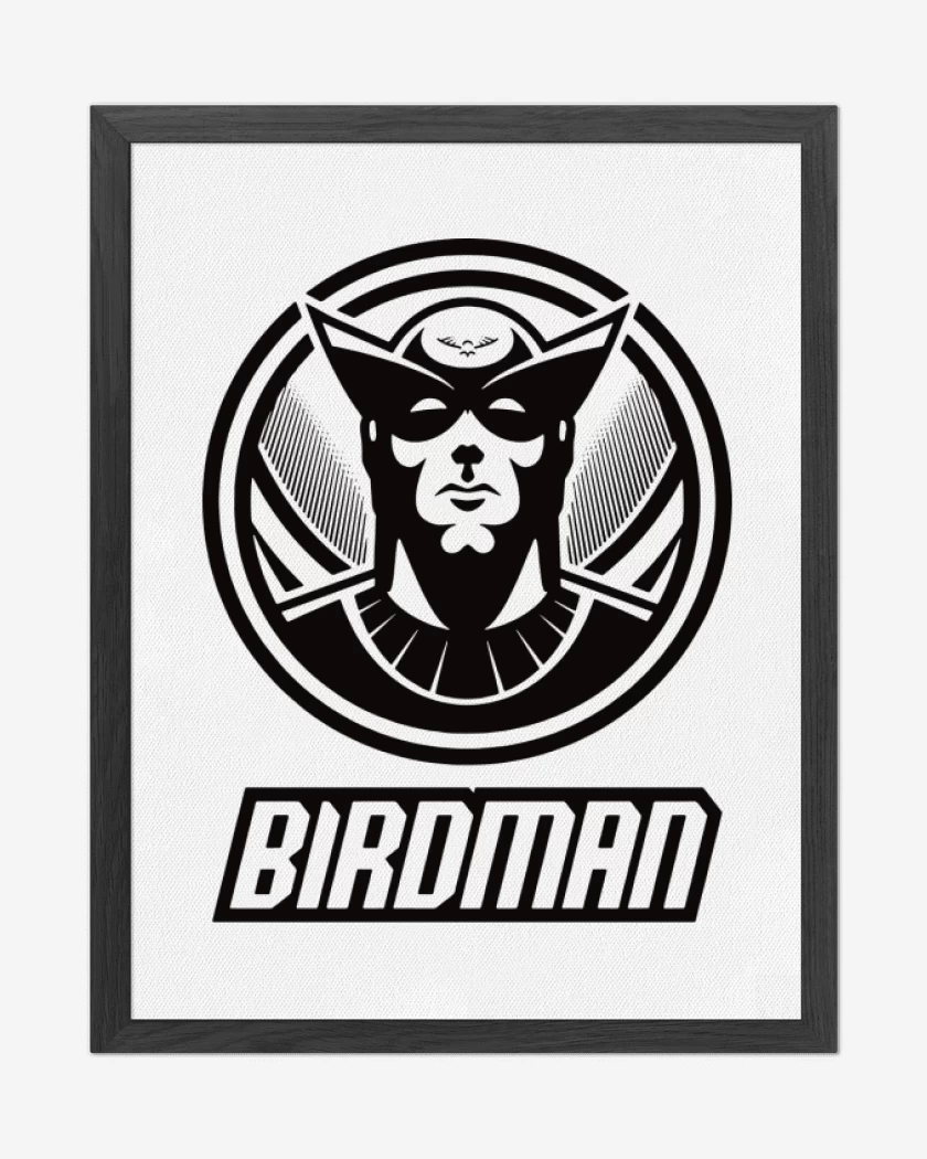 Cuadro decorativo Birdman