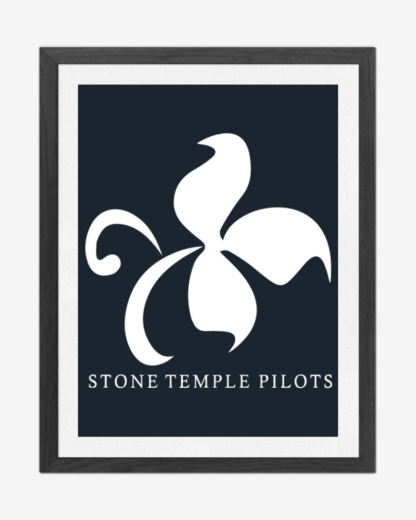 Cuadro decorativo Azul Marino de Stone Temple Pilots 1