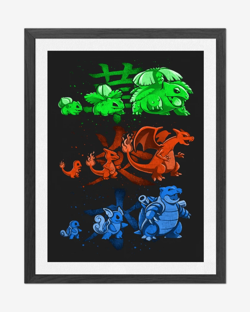 Cuadro decorativo Starter evolution