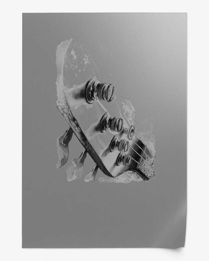 Print Bass Clavijero 