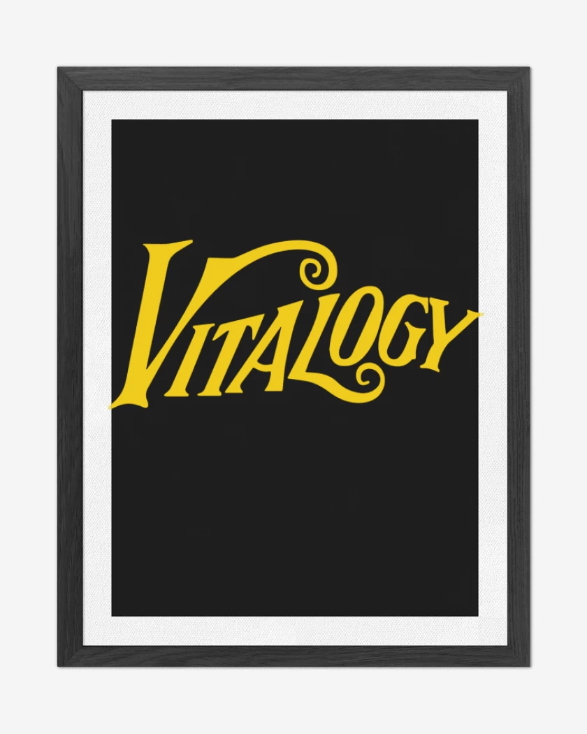 Cuadro decorativo Pearl Jam - Vitalogy