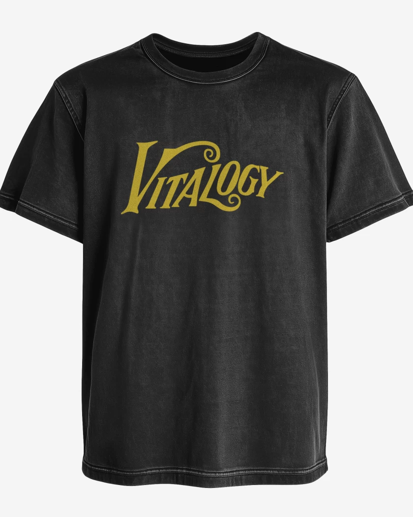 Polera desgastada Pearl Jam - Vitalogy