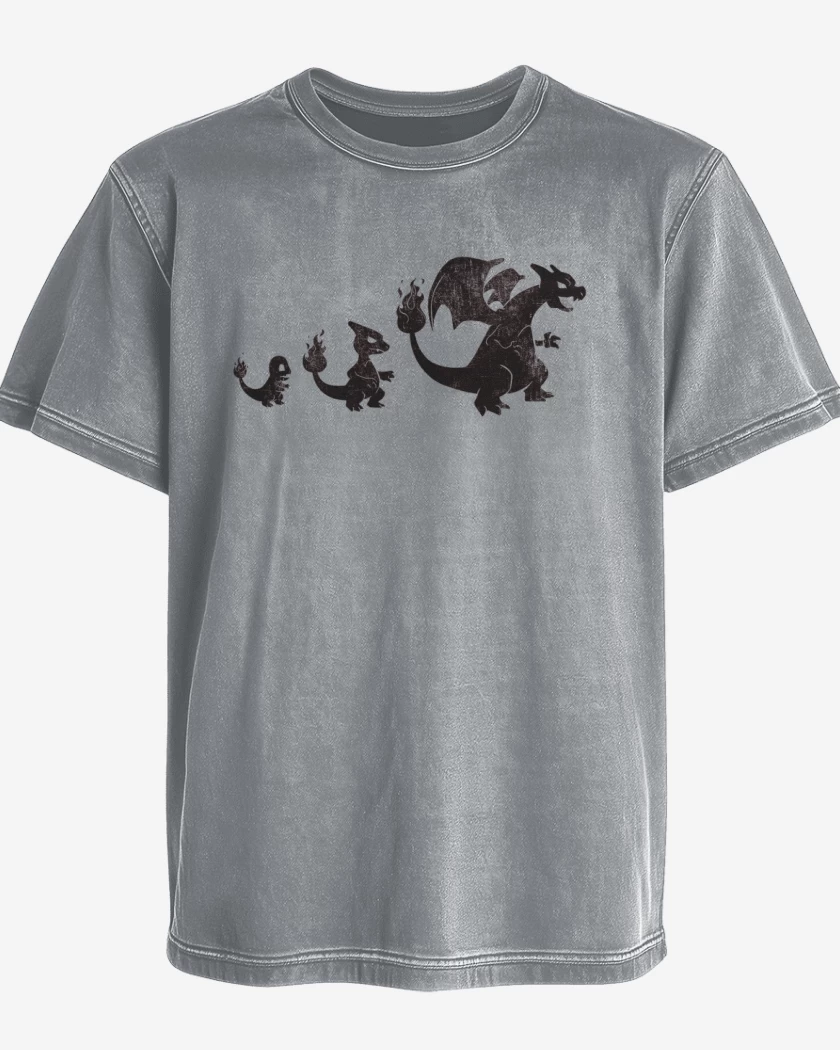Polera desgastada Gris Melange de Char evo