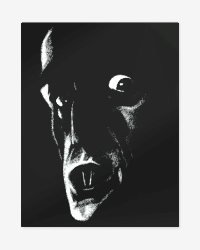 Print metalico Negro de El nosferatu