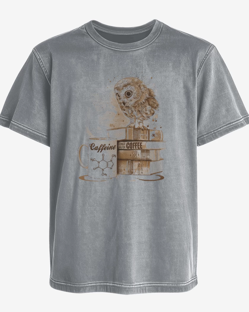 Polera desgastada Gris Melange de Cafecito
