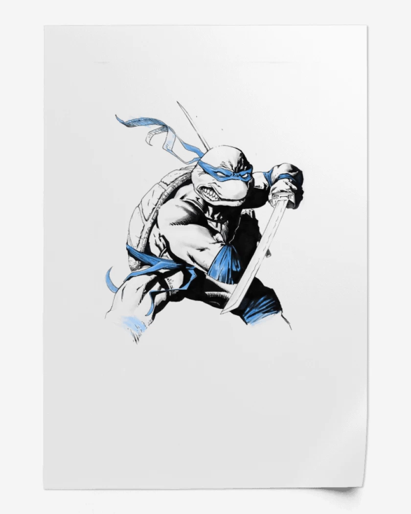 Print Tortu Ninja 