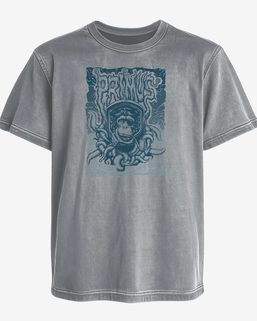 Polera desgastada Gris Melange de Primus 1 