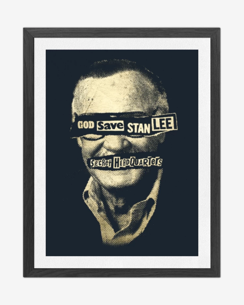 Cuadro decorativo Azul Marino de God save stan lee