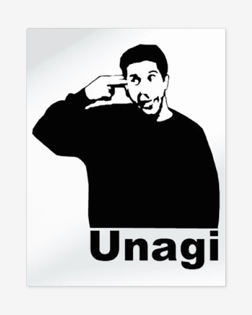 Print metalico Blanco de Unagi friends