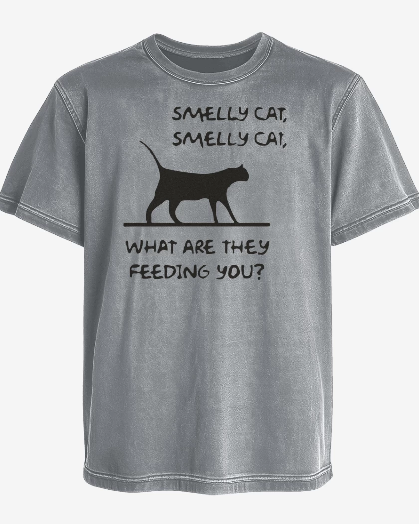Polera desgastada Gris Melange de Smelly cat