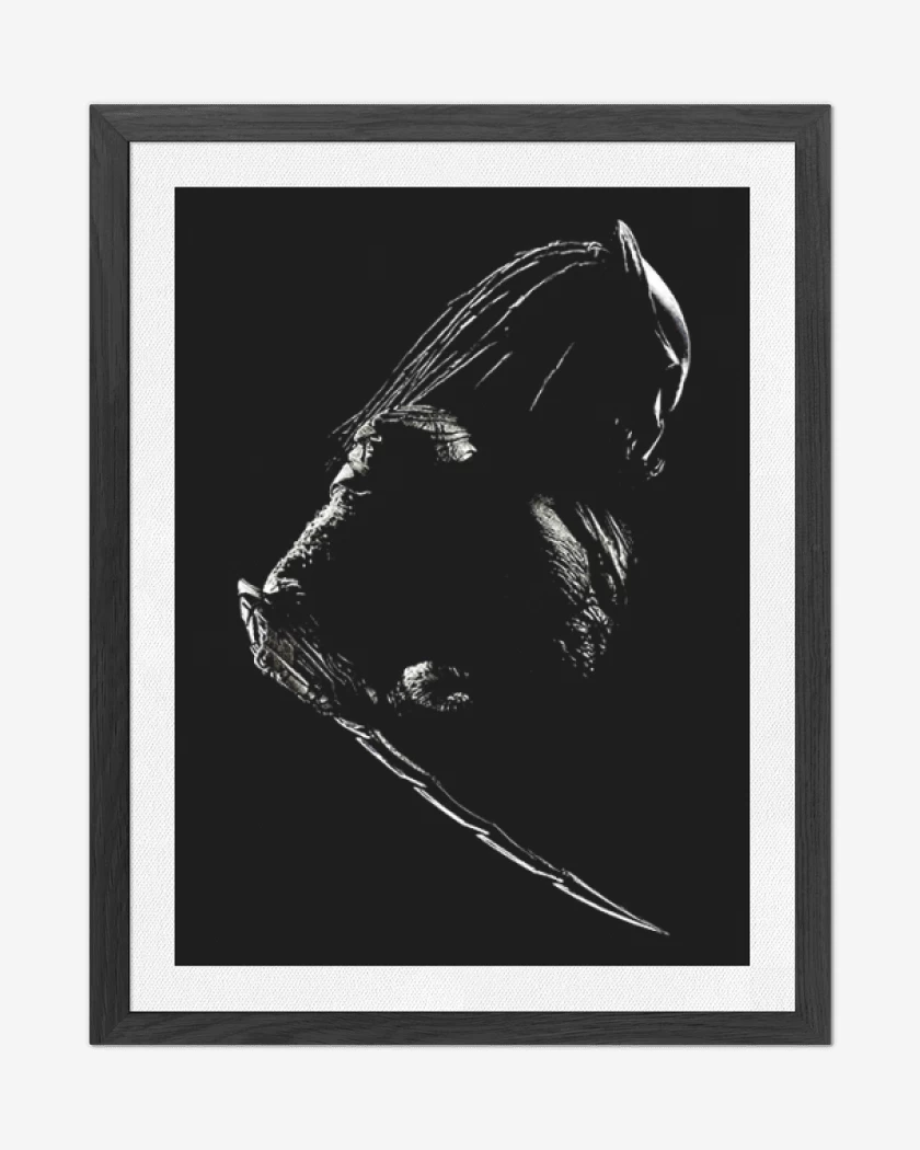 Cuadro decorativo Negro de Predator 3