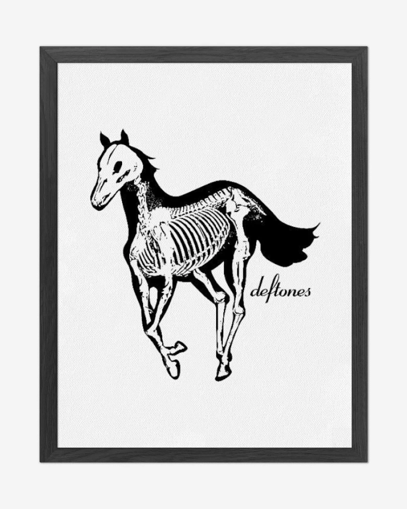 Cuadro decorativo Deftones pony