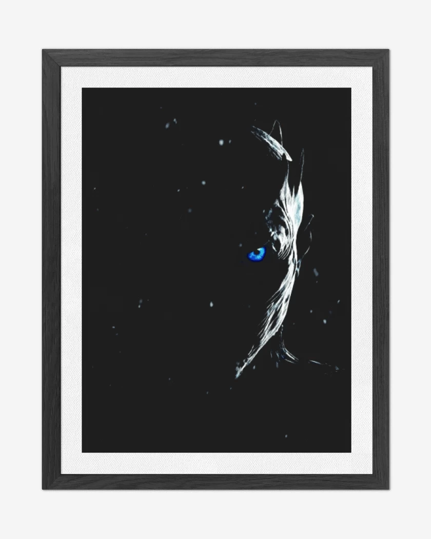 Cuadro decorativo Negro de Night king 2