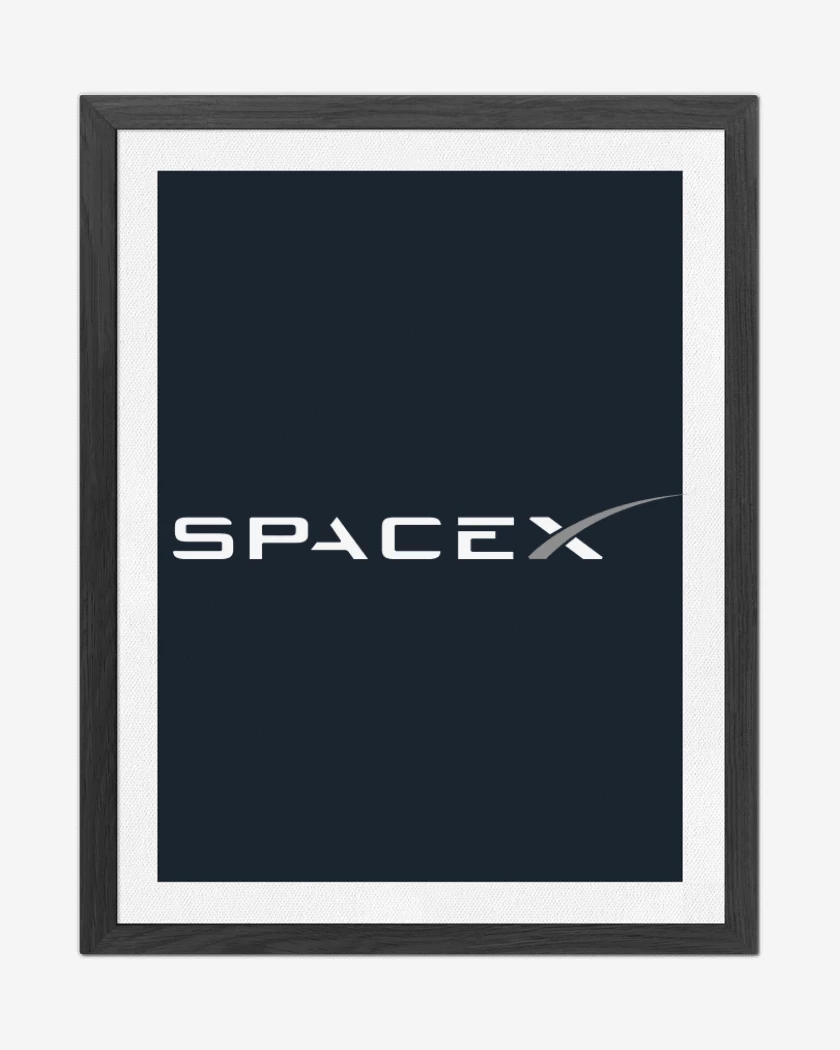 Cuadro decorativo Azul Marino de Space X