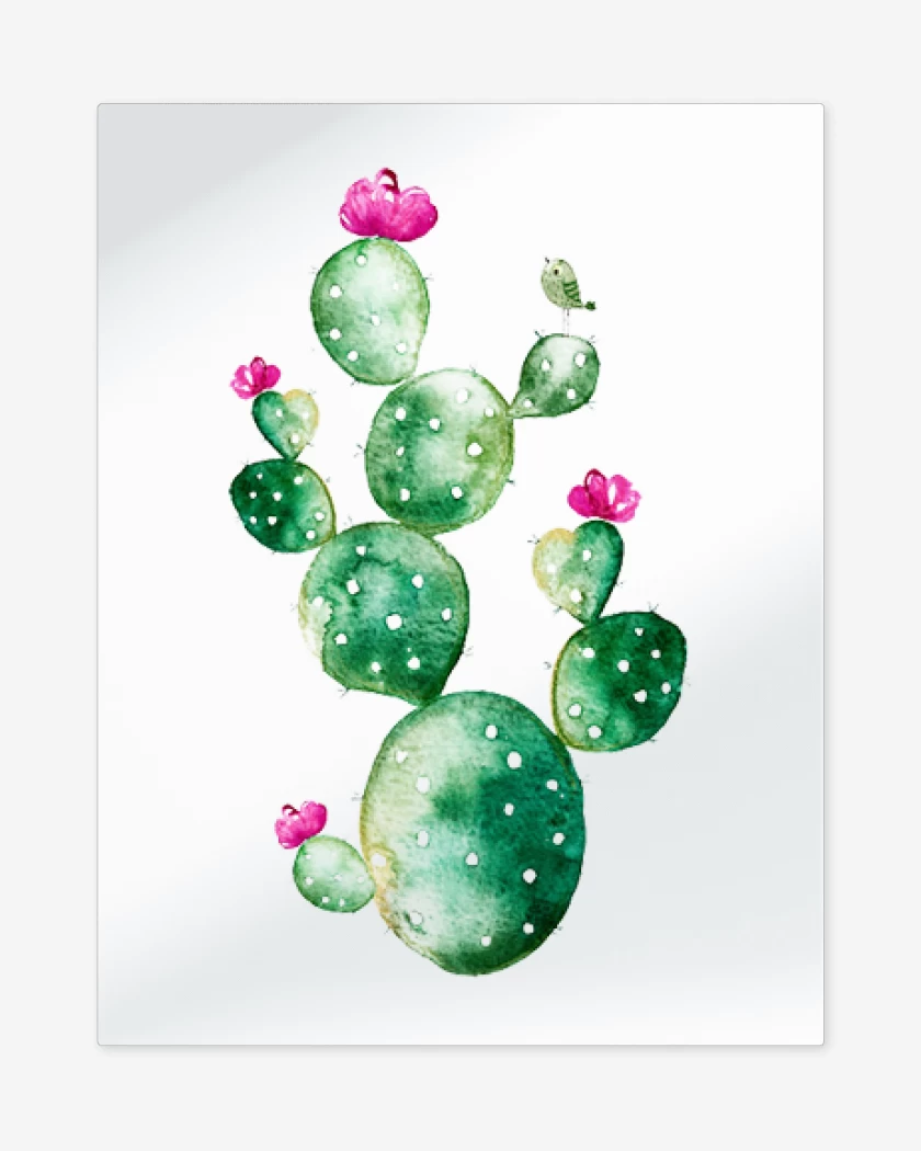 Print metalico Blanco de Cactus