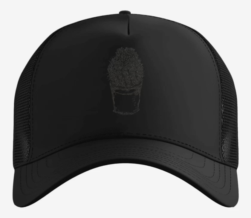 Gorro Cactus III