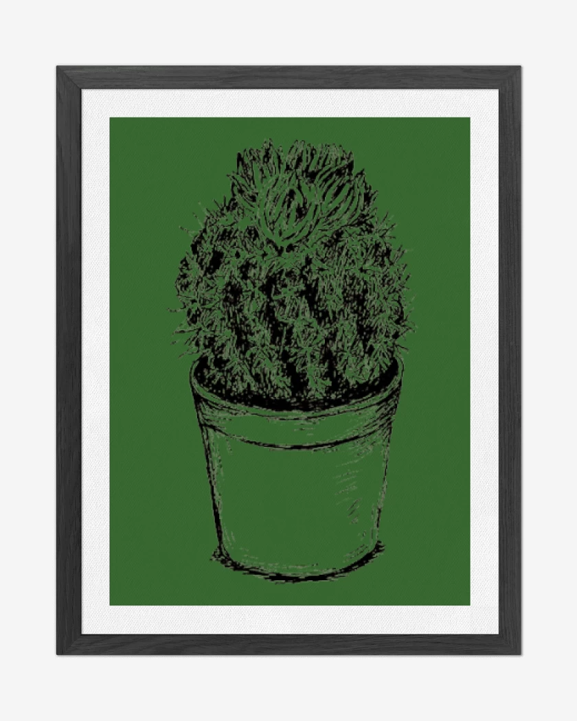 Cuadro decorativo Verde jade de Cactus III