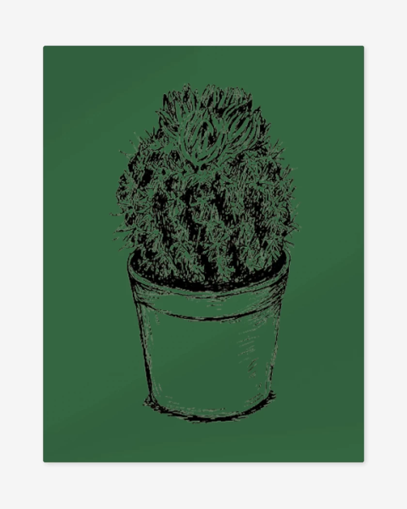 Print metalico Verde jade de Cactus III