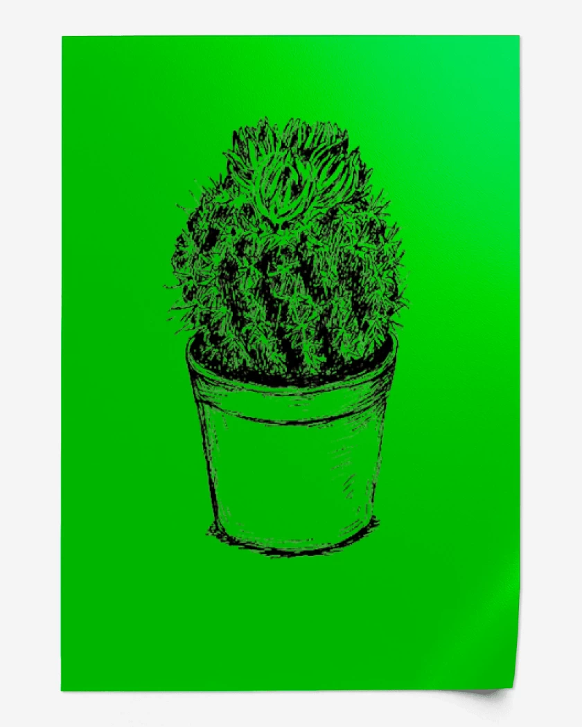 Print Verde jade de Cactus III