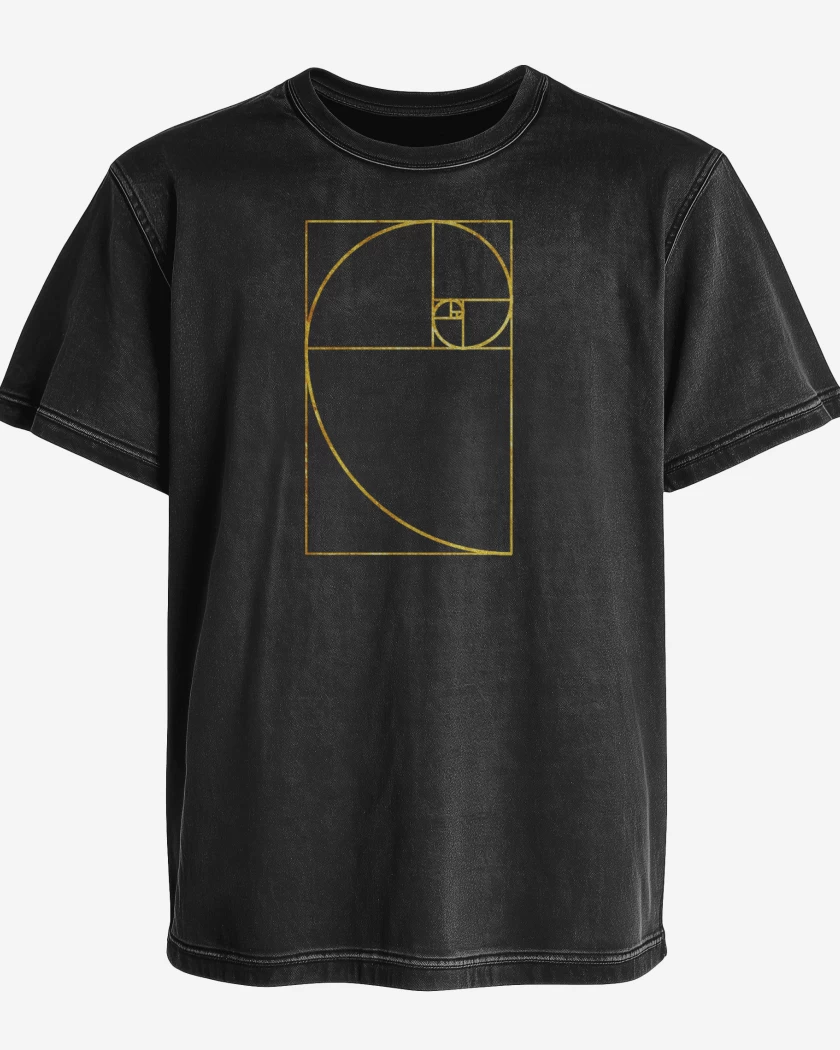Polera desgastada Negro de Fi