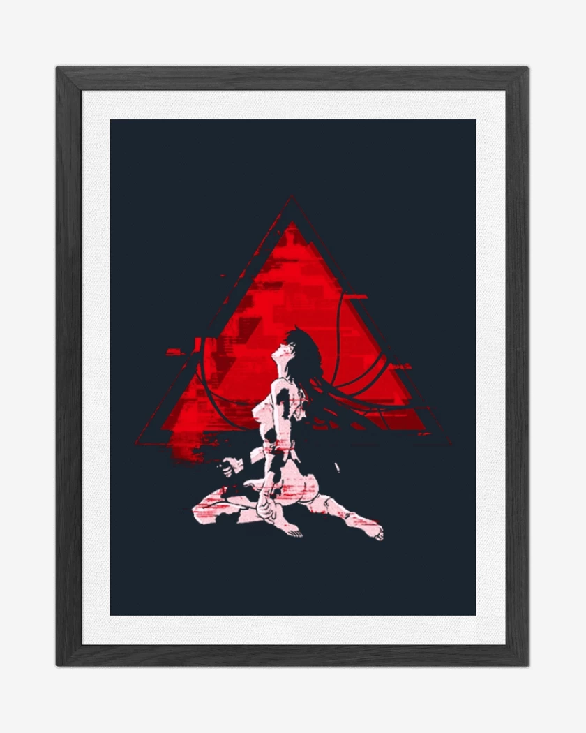 Cuadro decorativo Fantasma en the shell