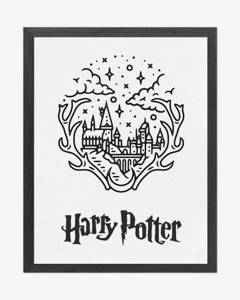 Cuadro decorativo Blanco de Harry potter 2