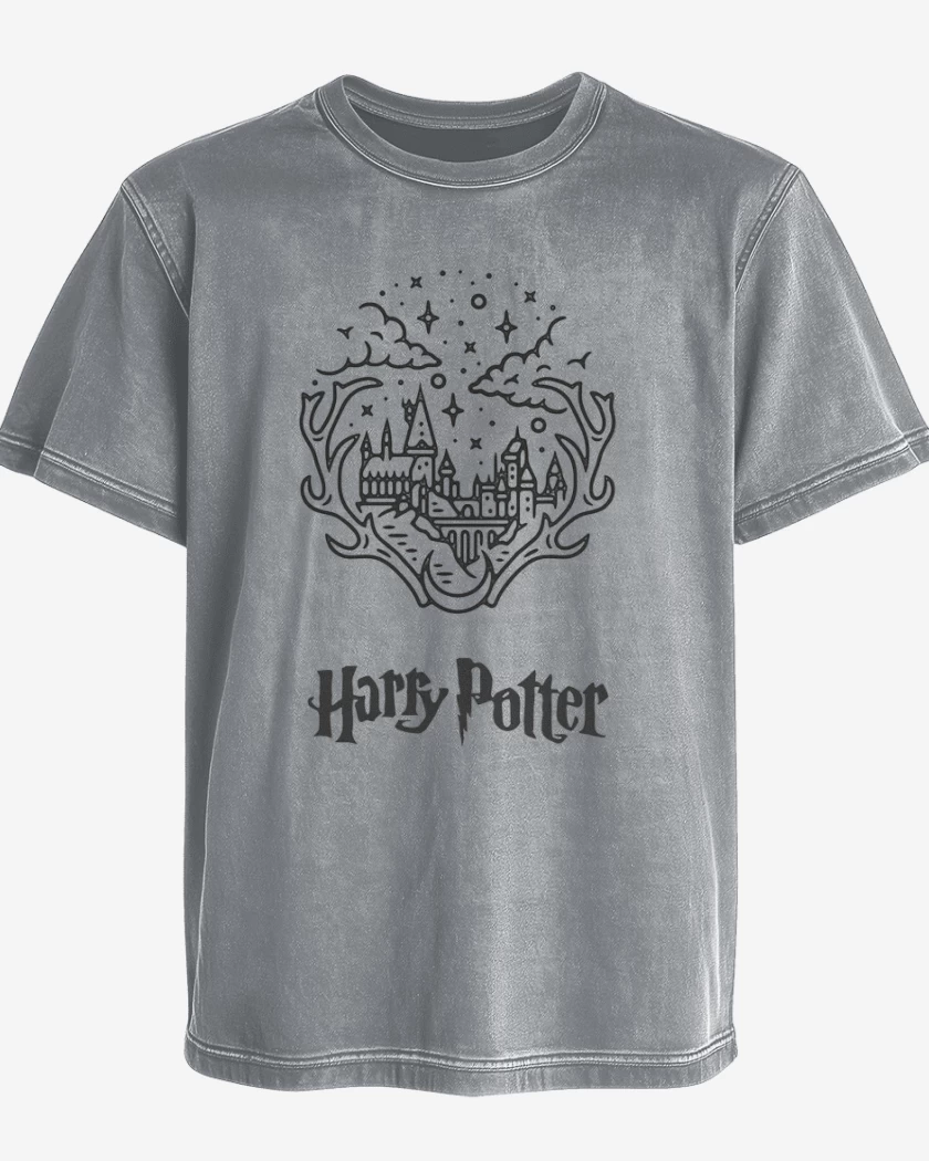 Polera desgastada Harry potter 2