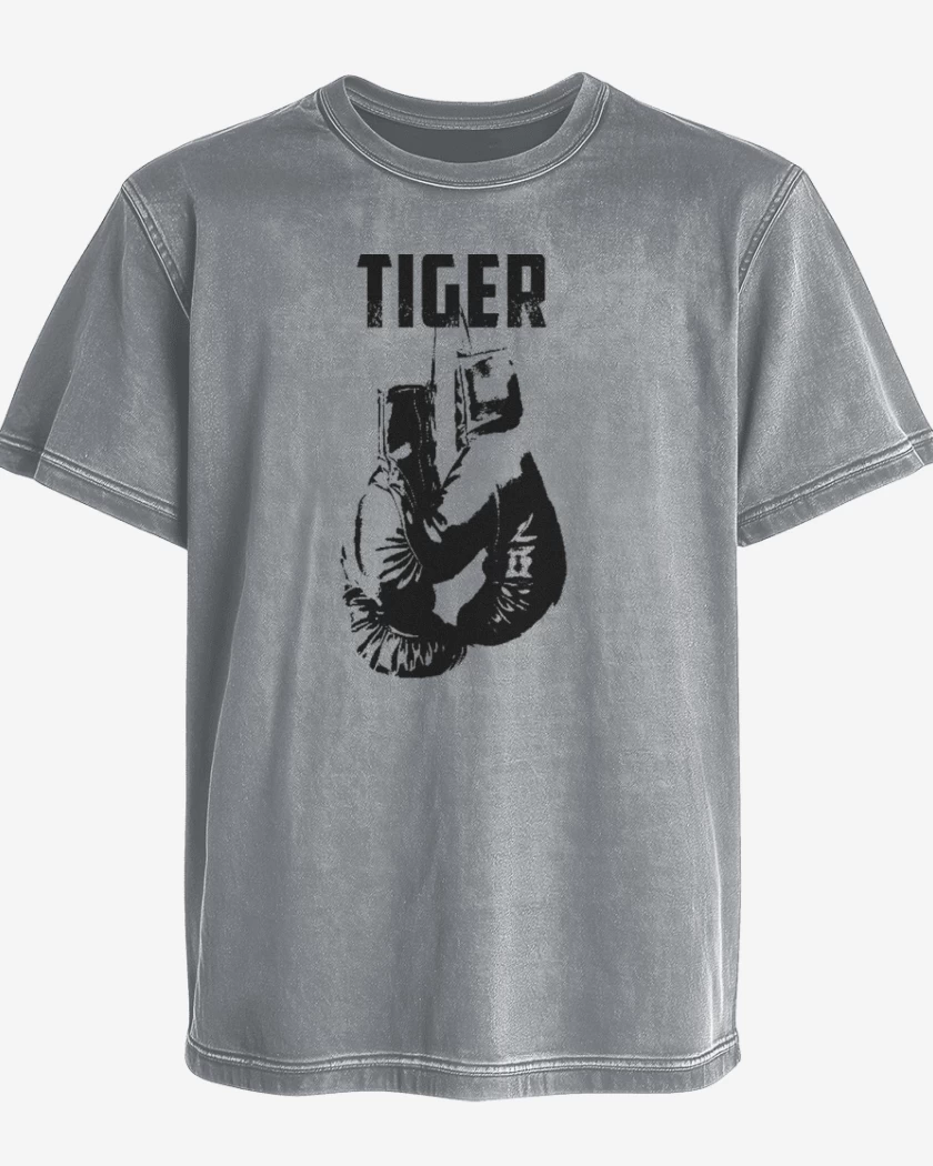 Polera desgastada Gris Melange de Rocky 4