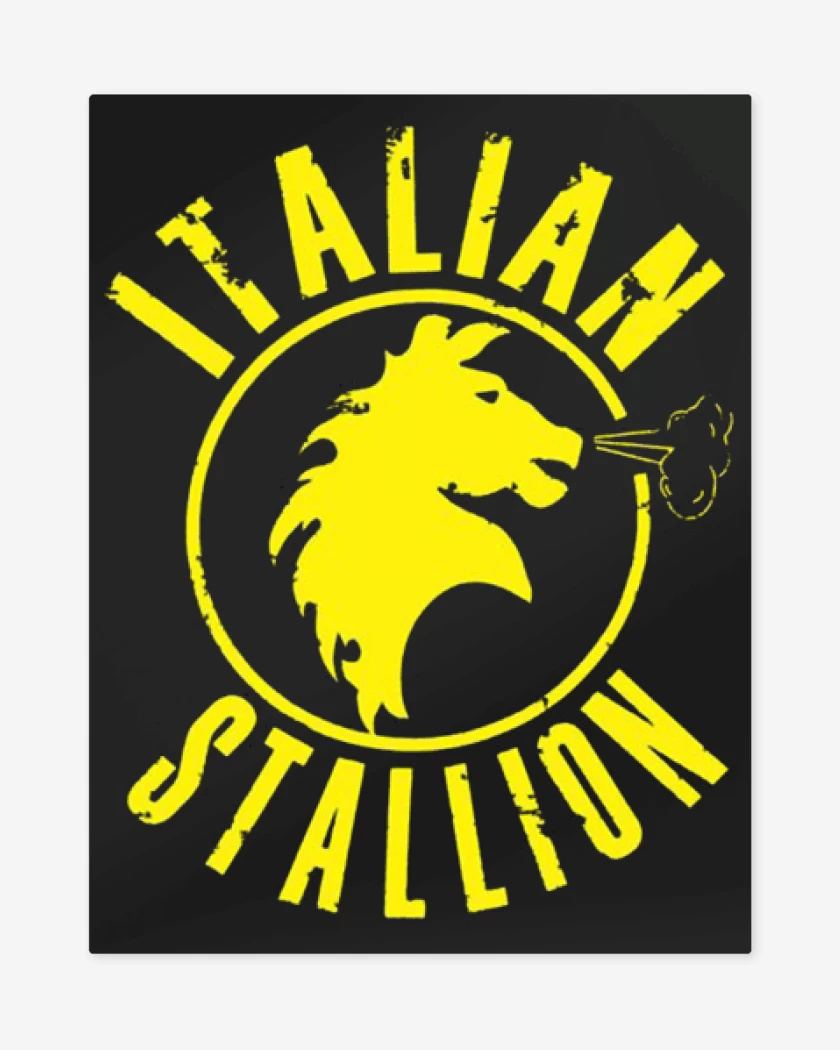 Print metalico Negro de Rocky Italian stallion