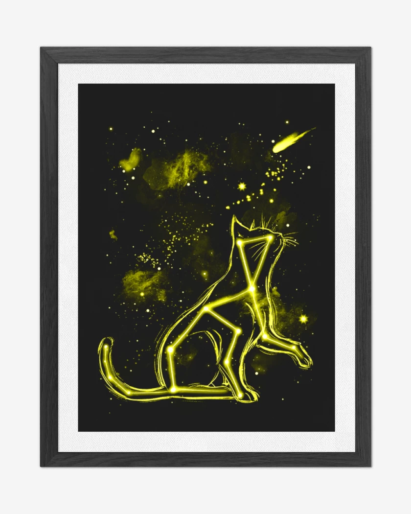 Cuadro decorativo Negro de Star Cat