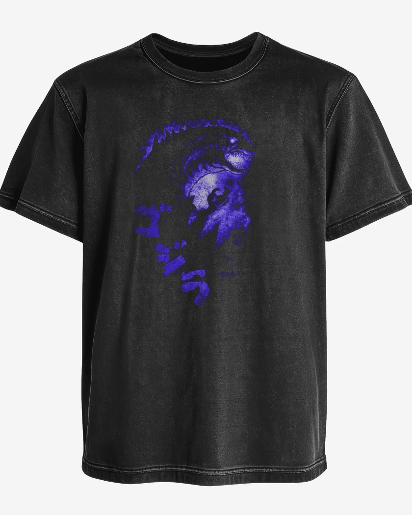 Polera desgastada El rey de los monstruos