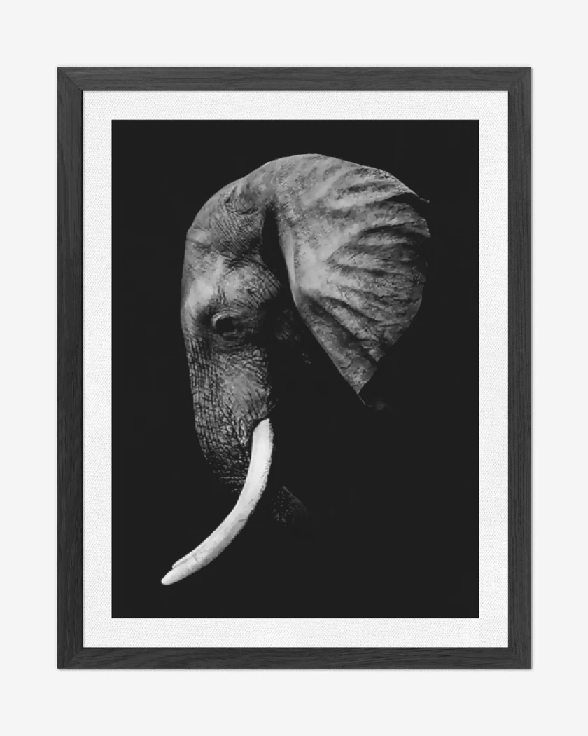 Cuadro decorativo Negro de L-FANTE
