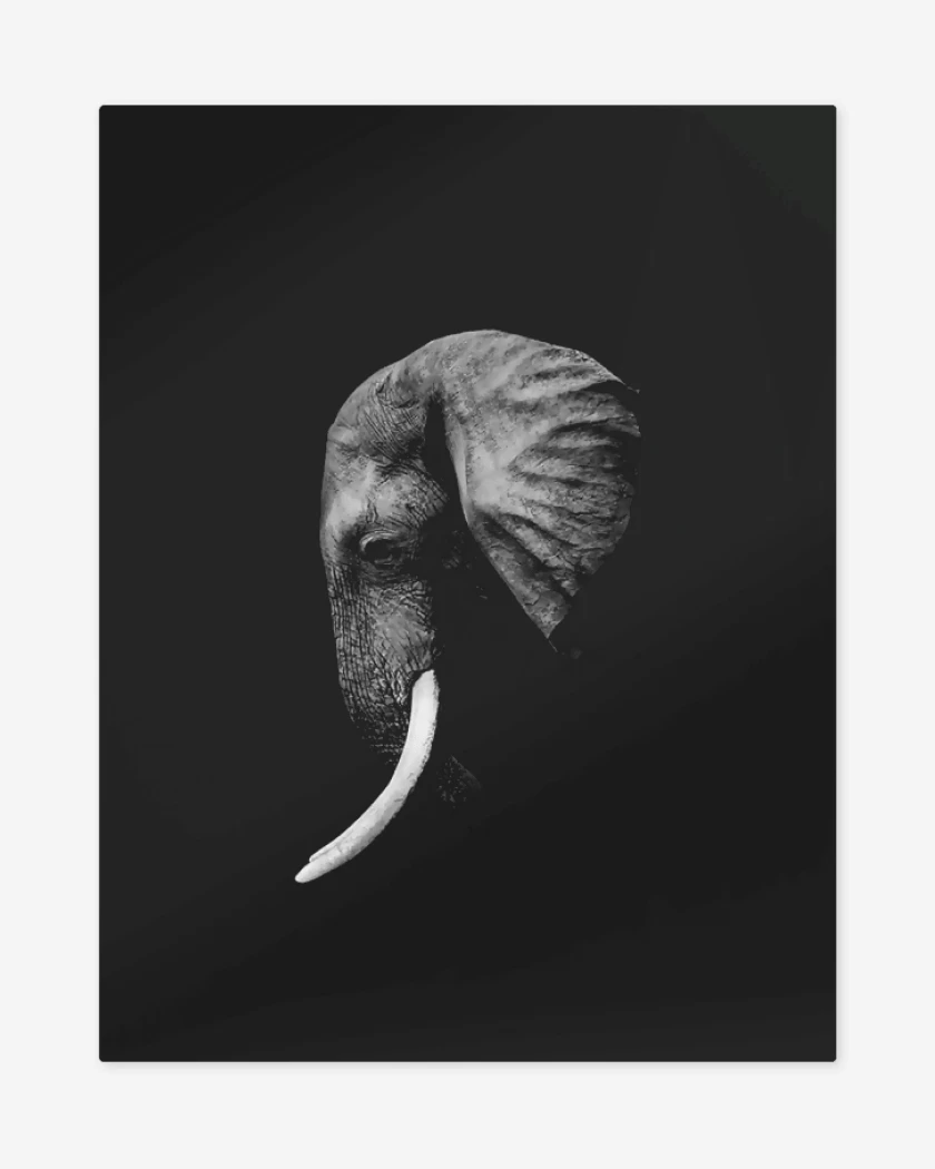 Print metalico Negro de L-FANTE