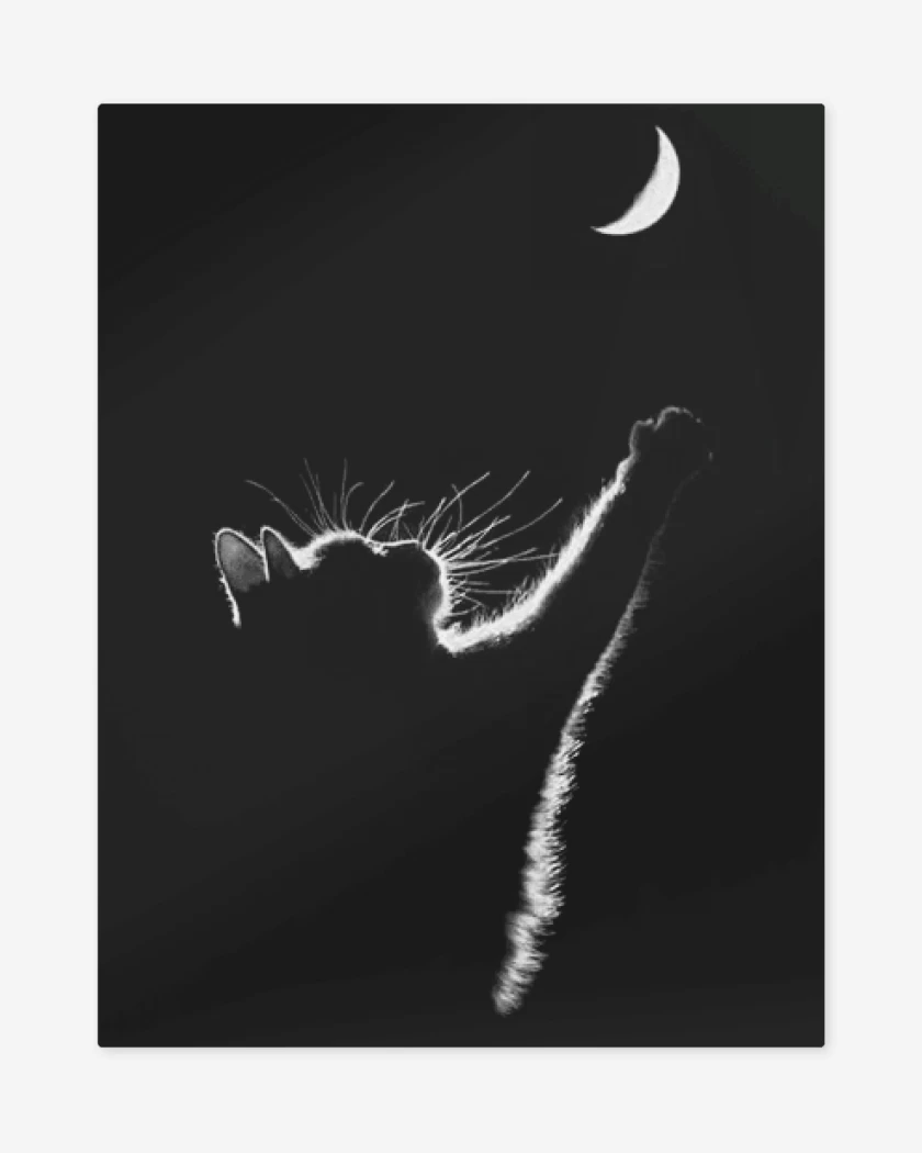 Print metalico GATO LUNA 