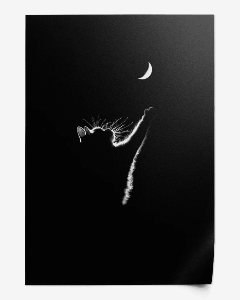 Print GATO LUNA 