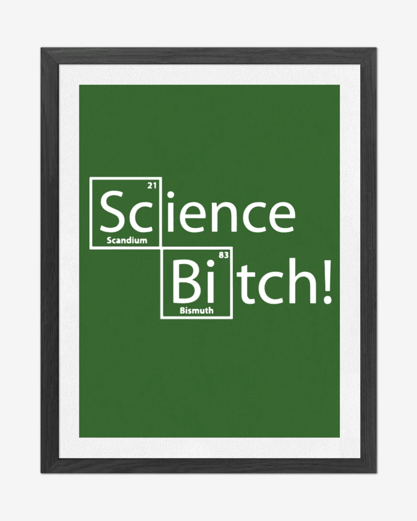 Cuadro decorativo Science Bitch!