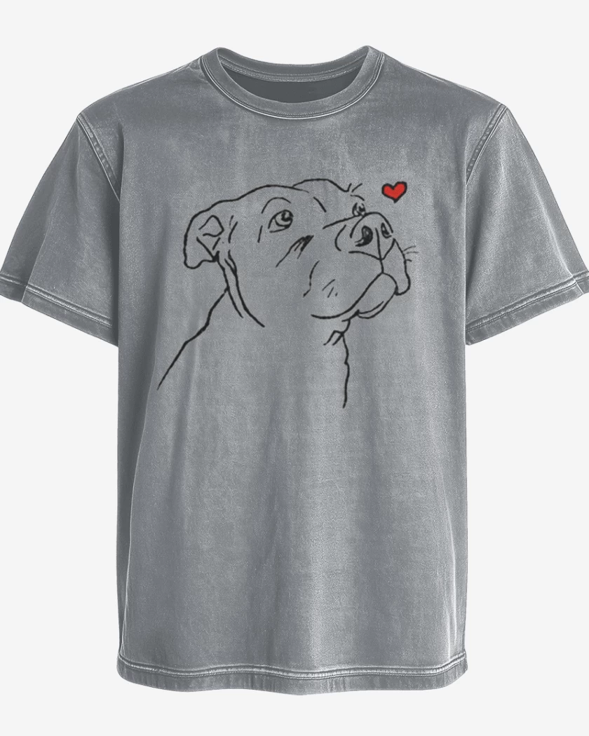Polera desgastada Gris Melange de love pitbull
