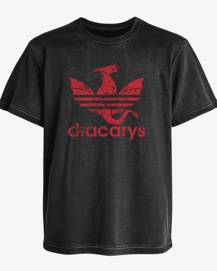 Polera desgastada Dracarys