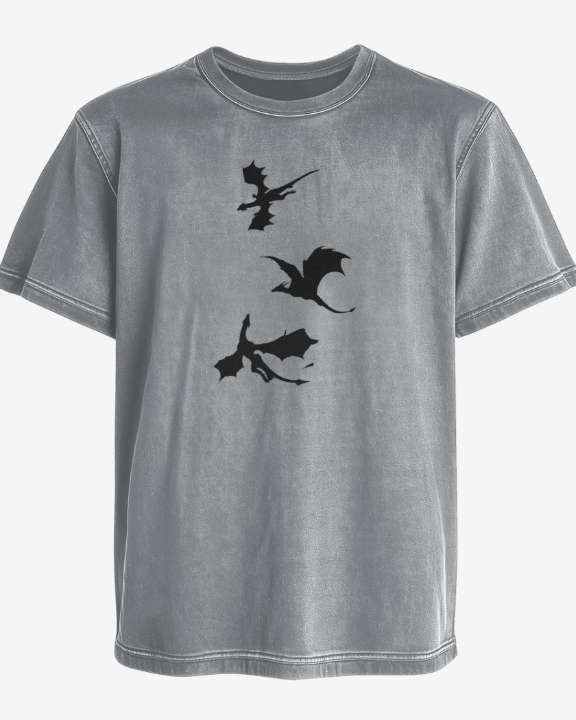 Polera desgastada Dragones