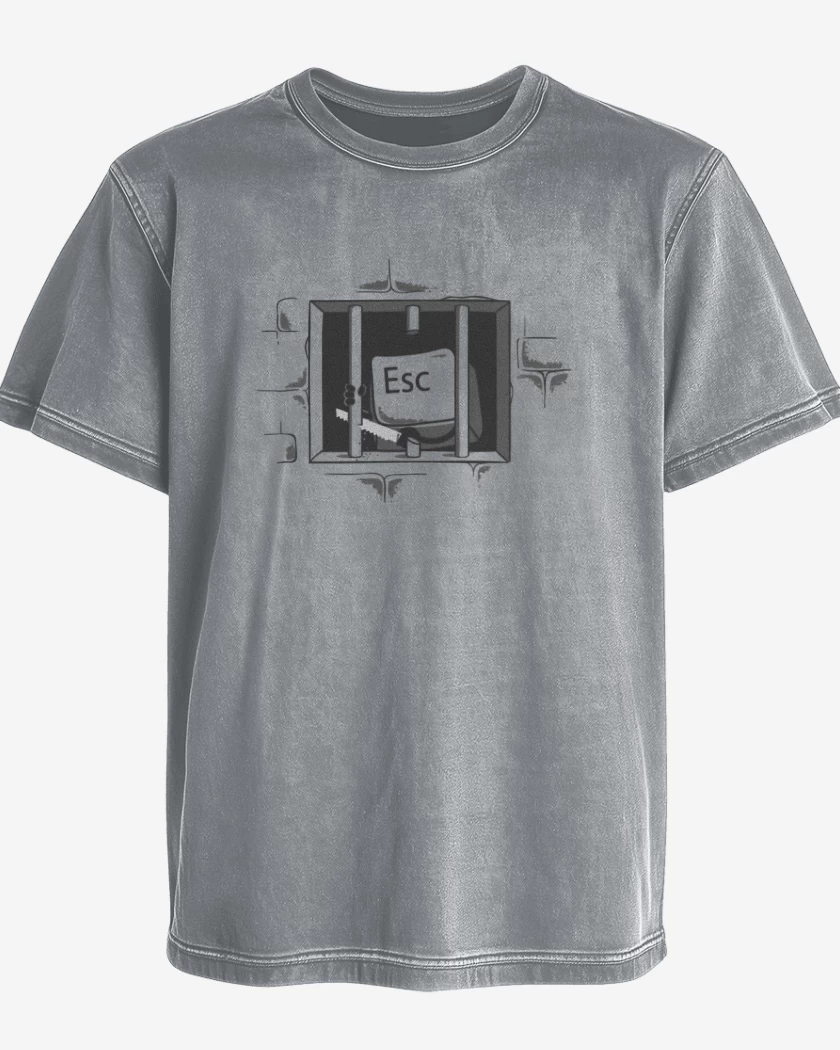 Polera desgastada Gris Melange de Esc 2 