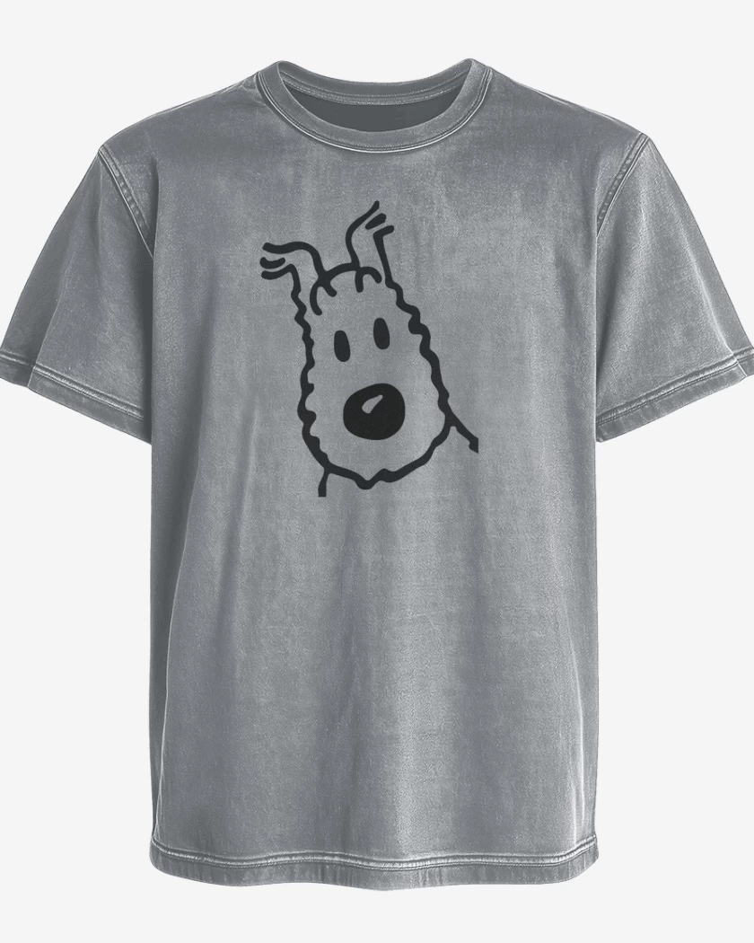 Polera desgastada Gris Melange de Milú 