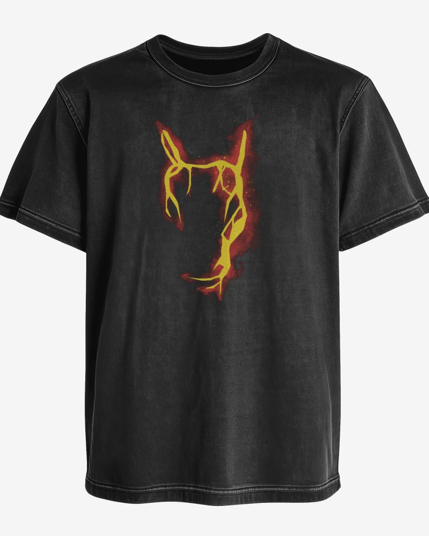 Polera desgastada Negro de Charizard