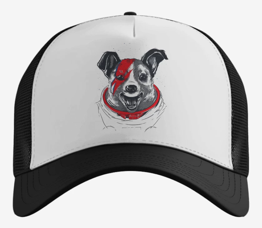 Gorro Laika stardust
