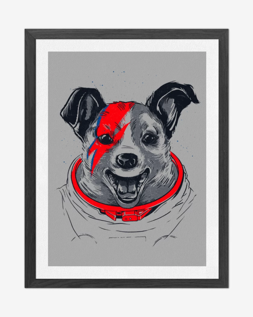 Cuadro decorativo Gris Melange de Laika stardust